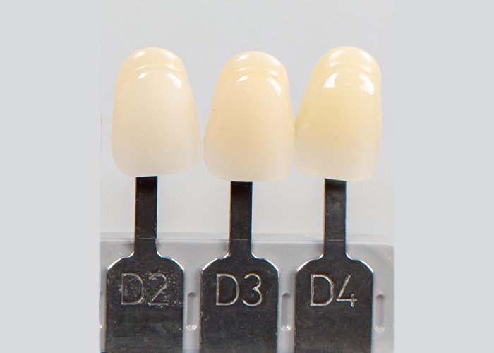 Tooth Shade Guide VITA Classical Group D